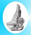 maternity-reflexology-consortium-logo.jpg